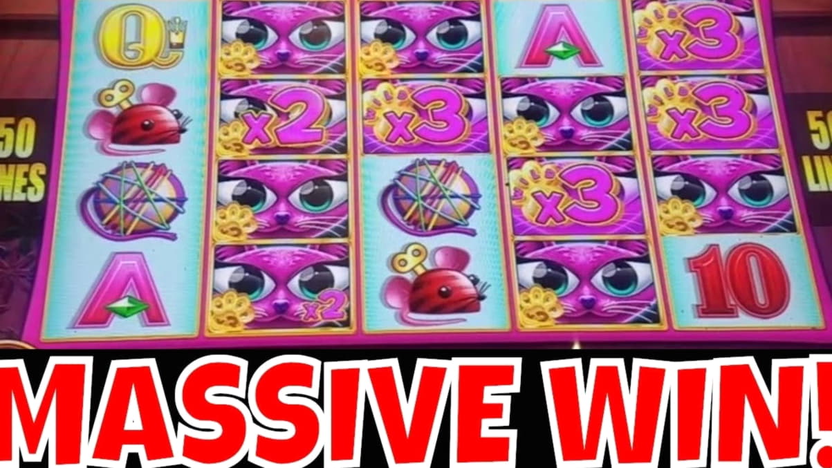 $1520 No deposit bonus code at Betzest Casino