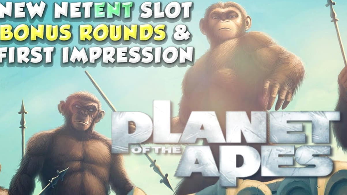 400% Kein Regelbonus! im All Slots Casino